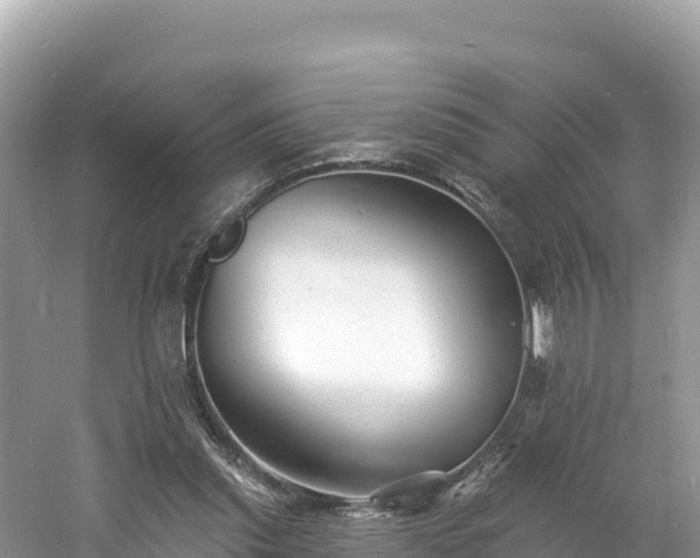 X0000060790253200511141451