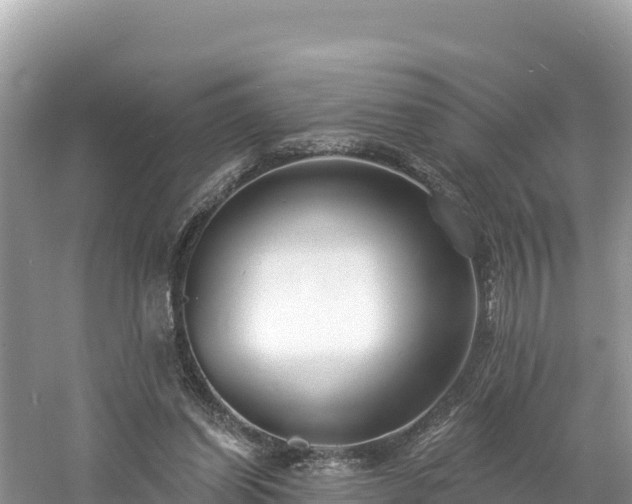 X0000060790254200511141451