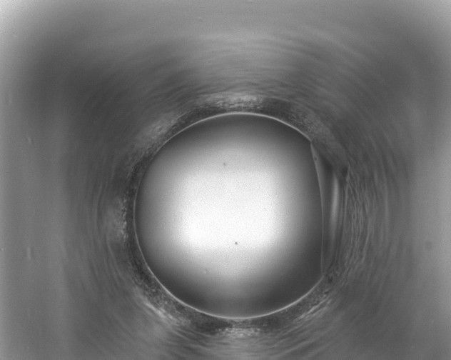 X0000060790255200511141451