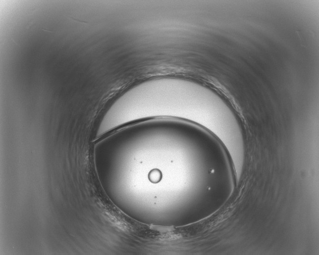 X0000060790257200511141451