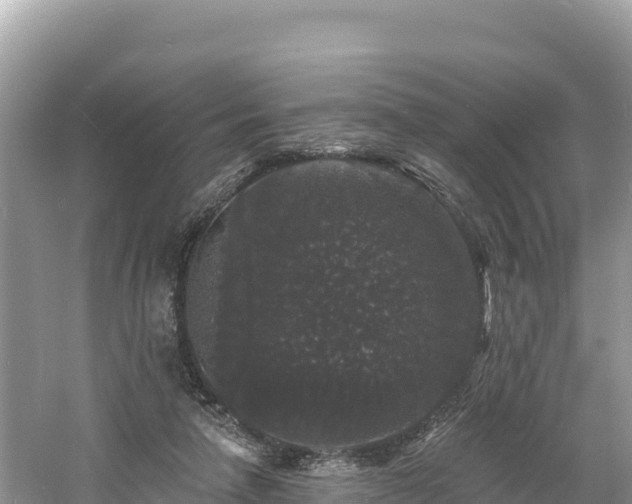 X0000060790258200511141451