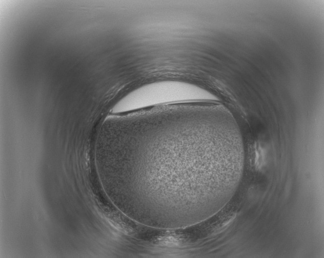 X0000060790259200511141451