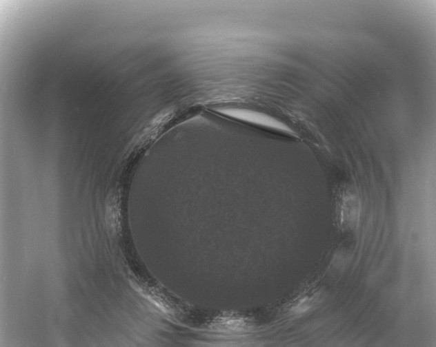 X0000060790260200511141451