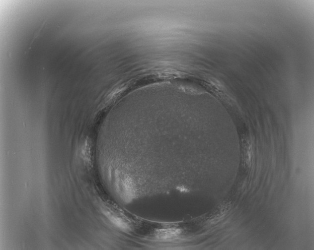 X0000060790266200511141451