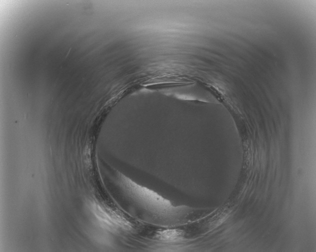 X0000060790269200511141451