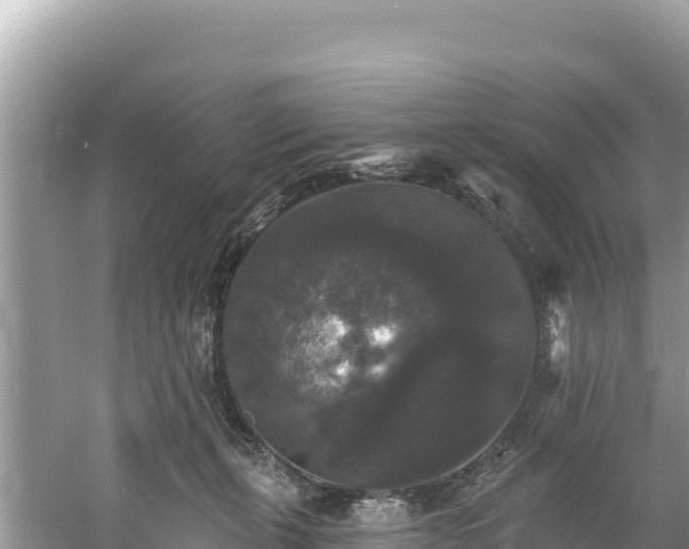 X0000060790271200511141451