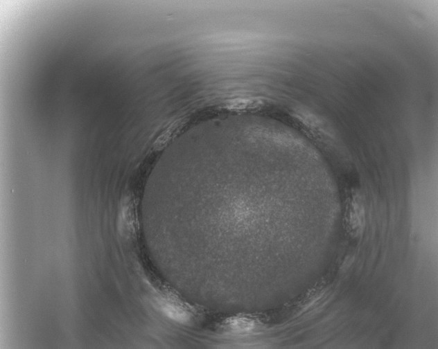 X0000060790272200511141451