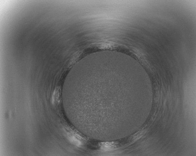 X0000060790273200511141451