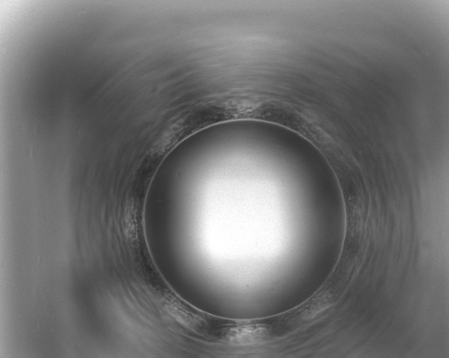 X0000060790274200511141451