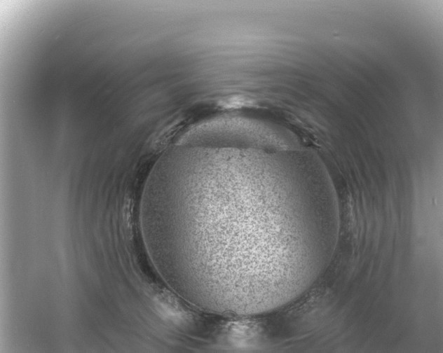 X0000060790275200511141451