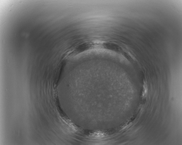 X0000060790276200511141451