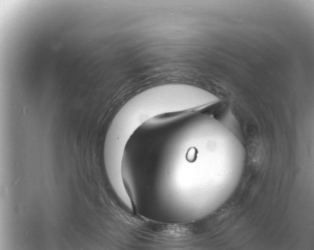 X0000060790278200511141452