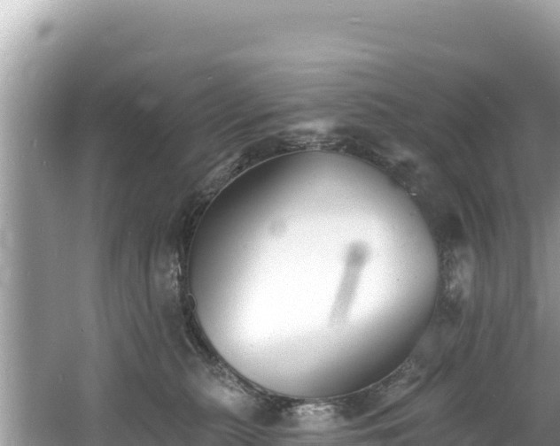 X0000060790279200511141452