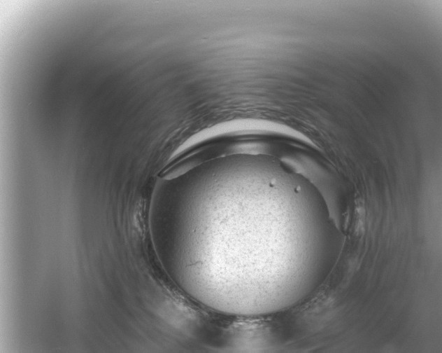 X0000060790280200511141452