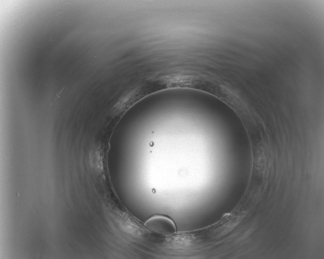 X0000060790282200511141452