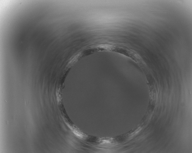 X0000060790285200511141452