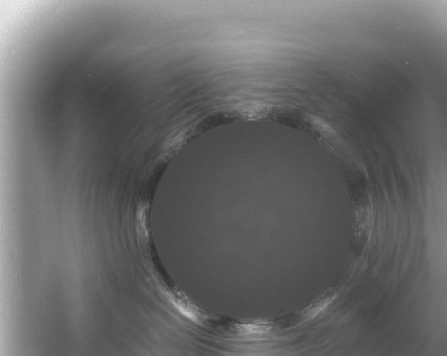 X0000060790286200511141452