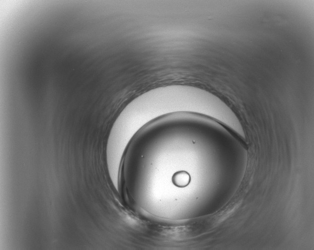 X0000060790288200511141452