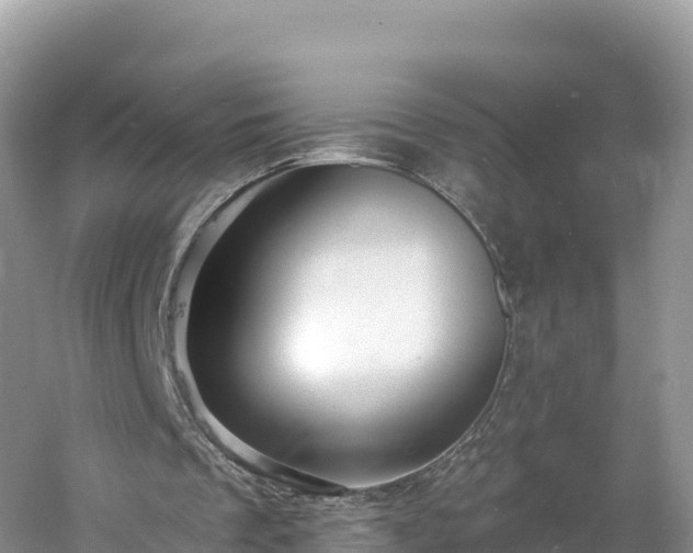 X0000060790289200511141451