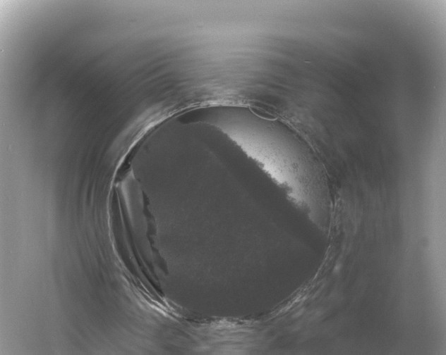 X0000060790290200511141451