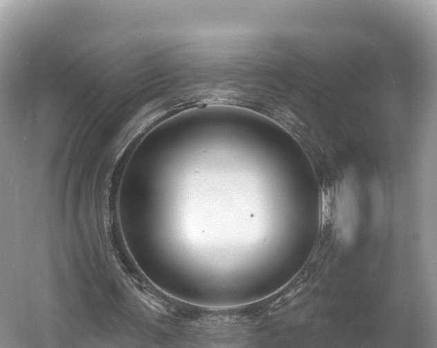 X0000060790291200511141451