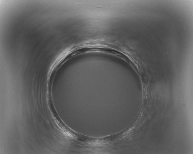 X0000060790293200511141451