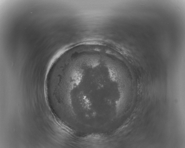 X0000060790294200511141451