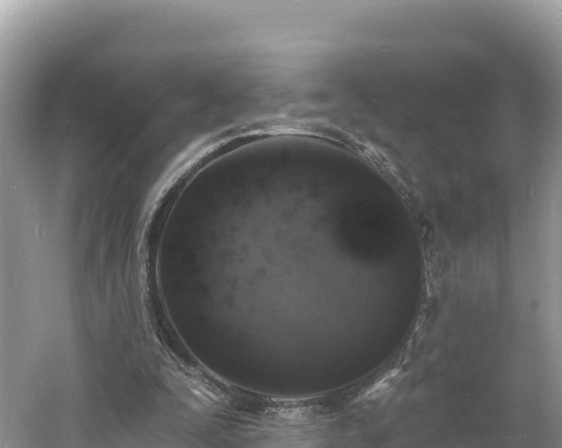 X0000060790295200511141451