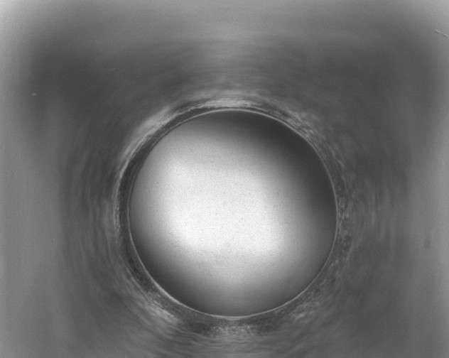 X0000060790296200511141451