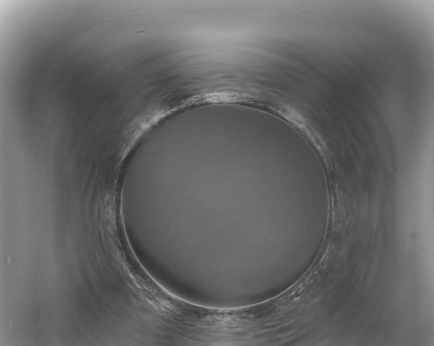 X0000060790297200511141451