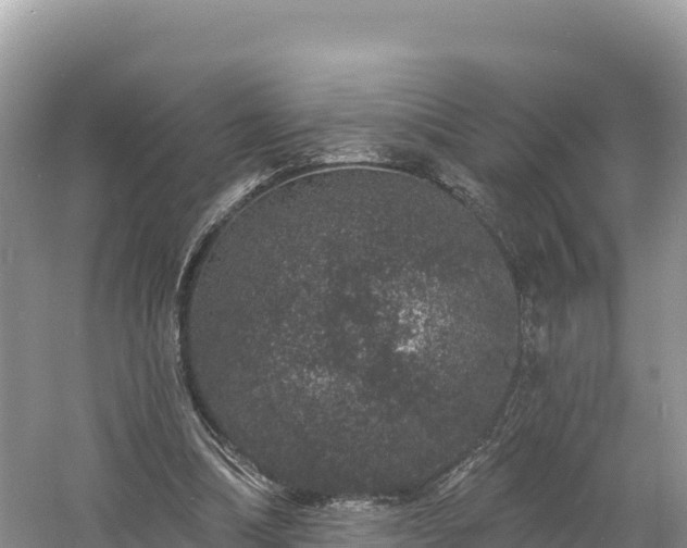 X0000060790298200511141451