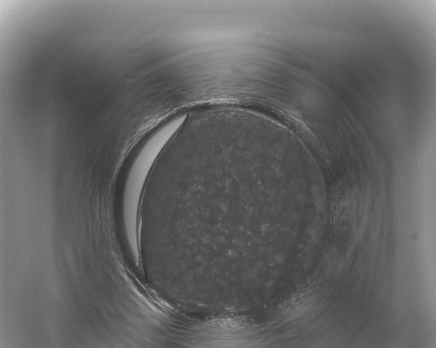 X0000060790299200511141451