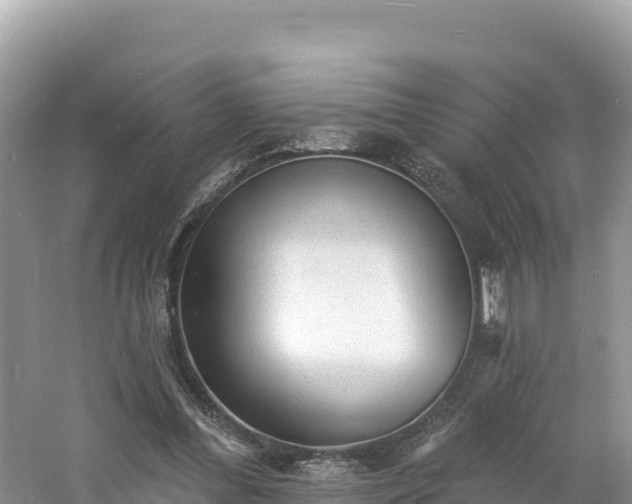 X0000060790300200511141451