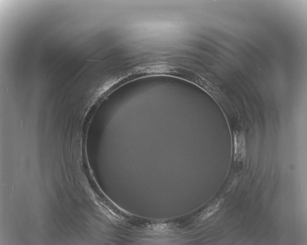 X0000060790301200511141451