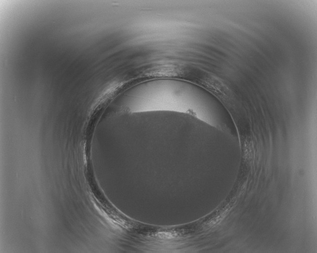 X0000060790302200511141451