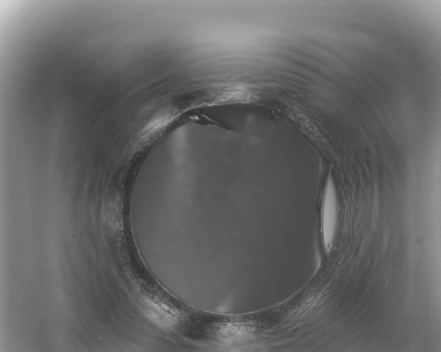 X0000060790303200511141451