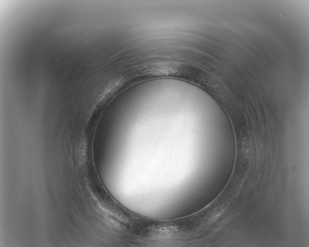 X0000060790304200511141451