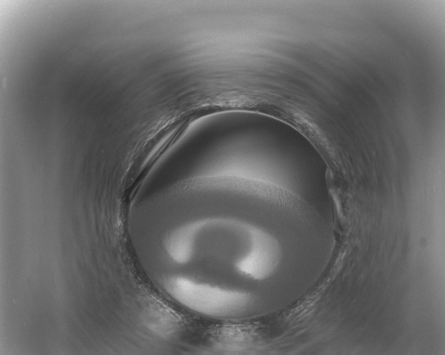 X0000060790305200511141451