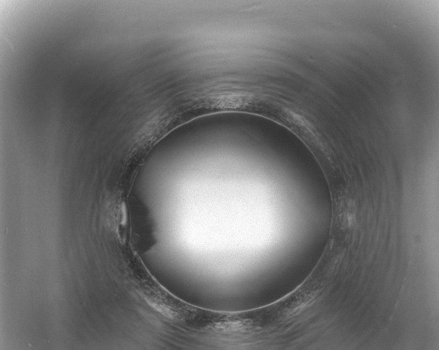 X0000060790307200511141451