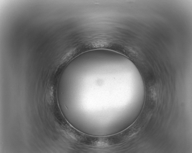 X0000060790308200511141451