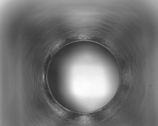 X0000060790310200511141451