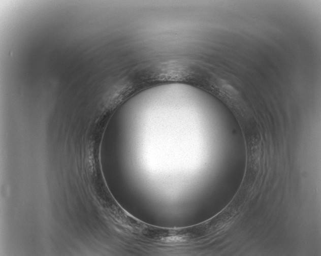 X0000060790312200511141450