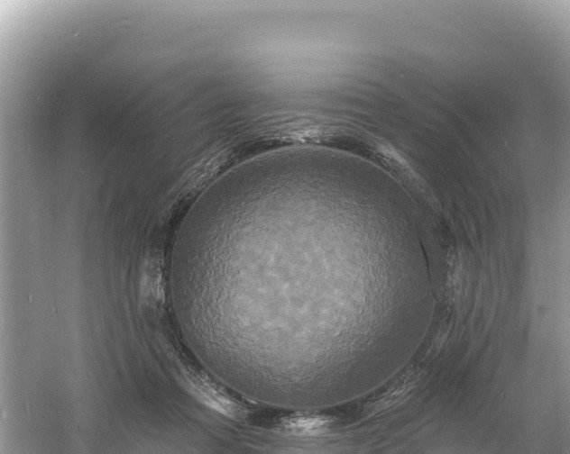 X0000060790313200511141450