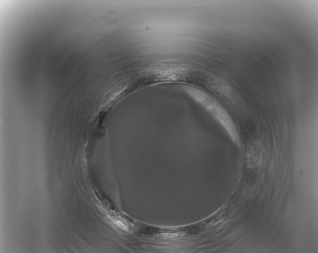 X0000060790314200511141450