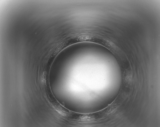 X0000060790315200511141450