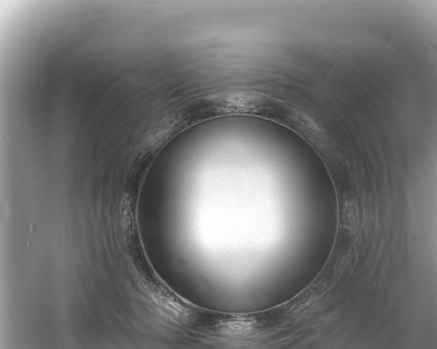 X0000060790318200511141450