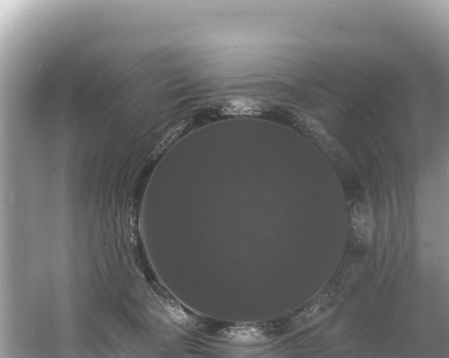 X0000060790322200511141450