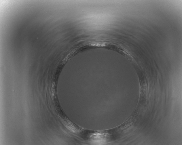 X0000060790323200511141450