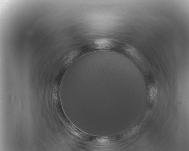 X0000060790325200511141450