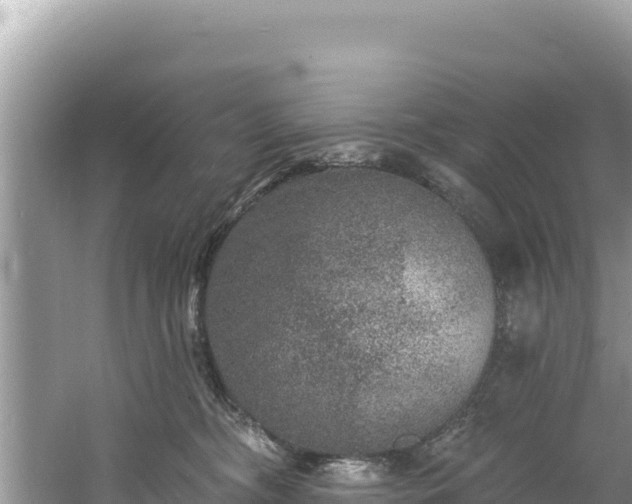 X0000060790326200511141450